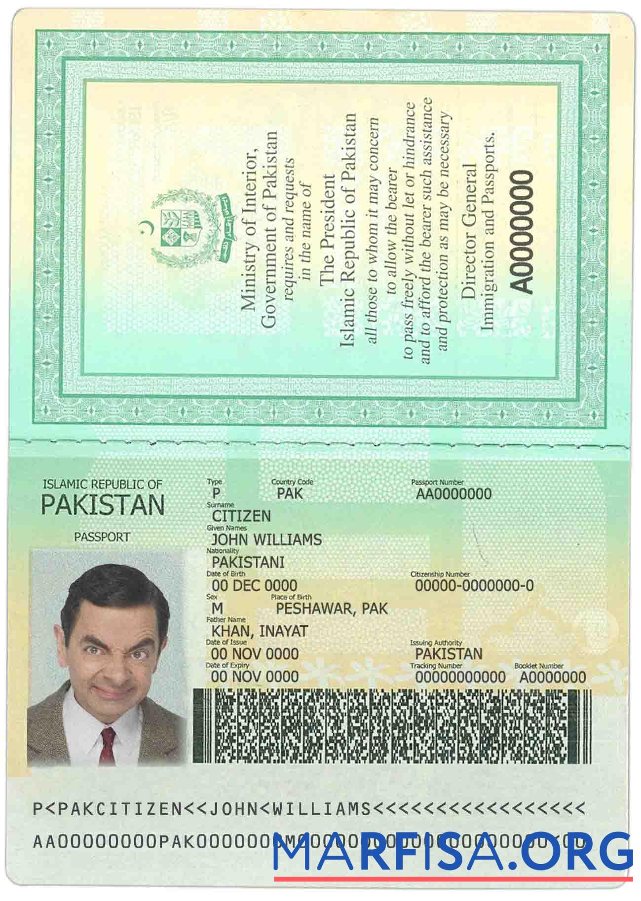 Downloadable Pakistan passport download for verification